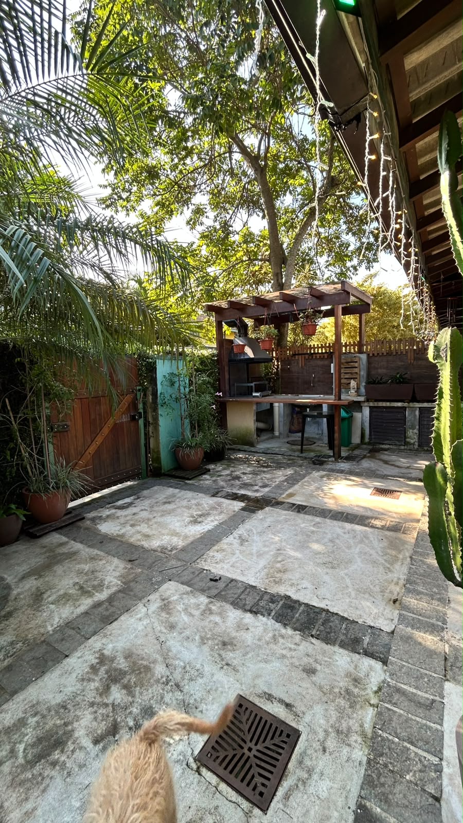 WhatsApp Image 2026-07-10 at 11.17.30 (2)